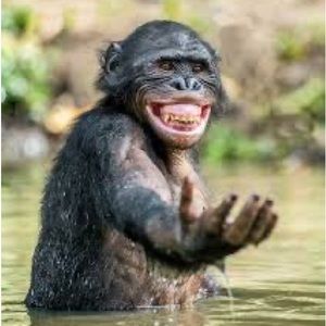 Meet your Posher, Dylan